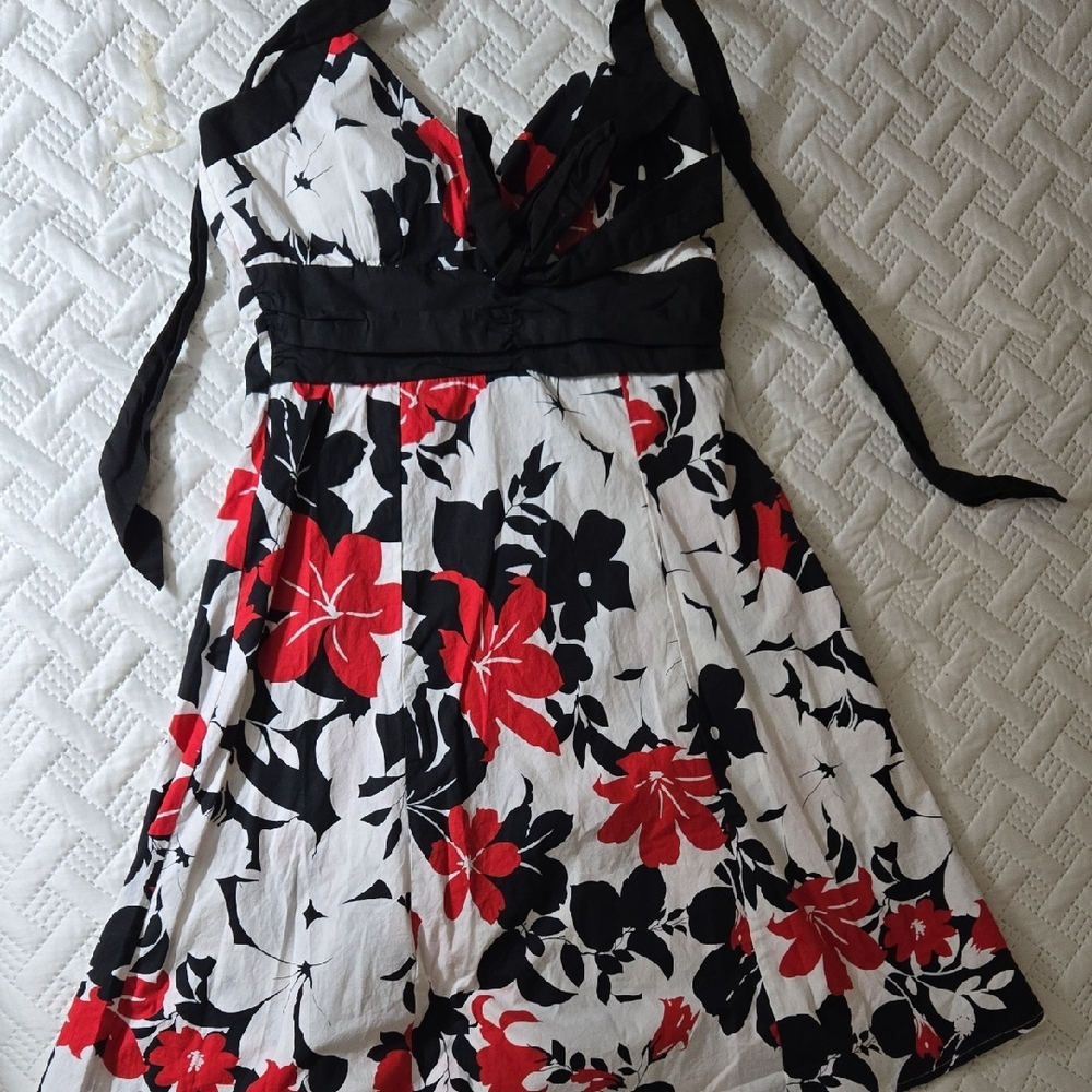 Trixxi Black and Red Floral Dress